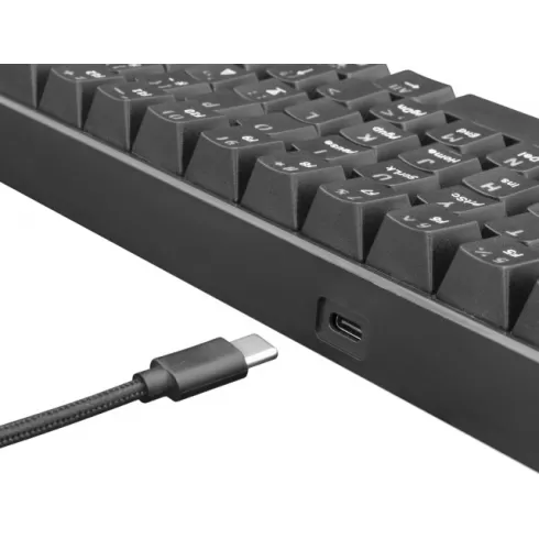 White Shark Shinobi Gaming Μηχανικό Πληκτρολόγιο 60% με Outemu Blue διακόπτες και RGB φωτισμό Αγγλικό US GK-2022B-BLK #3