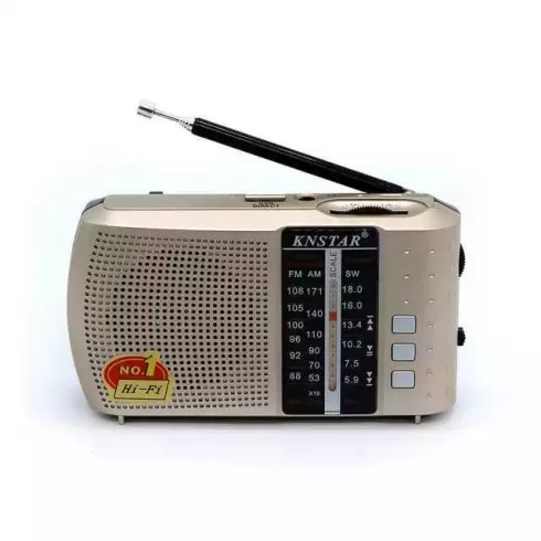 GOLON Επαναφορτιζόμενο ραδιόφωνο ICF-8 Fm/am/sw Radio Usb/tf/aux - ΧΡΥΣΟ