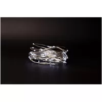 Entac Christmas Indoor Silver Wire 80 LED Light 6400K 4m (3AA excl.) #1