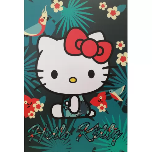 Κλασέρ Graffiti 17x25cm Hello Kitty Aloha 18809