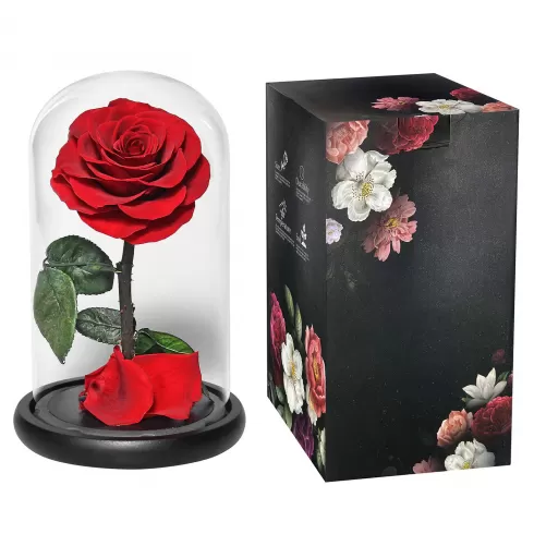 Homie  Τριαντάφυλλο παντοτινό σε γυάλα 14x22εκ 423030