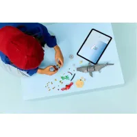 LEGO® Creator: Άγριος καρχαρίας με σεντούκι θησαυρού 31381 #3