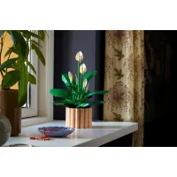 LEGO® Botanicals: Σπαθίφυλλο (11504) #3