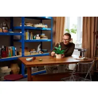 LEGO® Botanicals: Σπαθίφυλλο (11504) #4