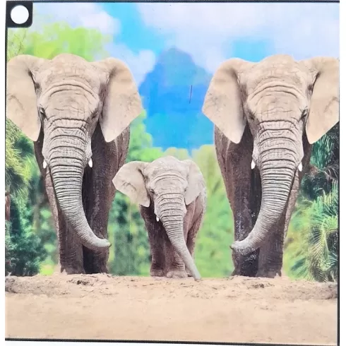 Μωσαϊκό με ψηφίδες τύπου διαμάντια σε καμβά 30 x 30cm Ελέφαντες TT46786Z - B