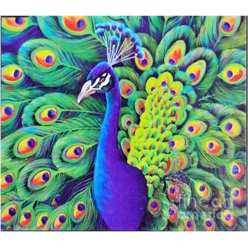 Μωσαϊκό με ψηφίδες τύπου διαμάντια σε μαξιλαροθήκη 40 x 40 cm Παγώνι  TT46662Z - B