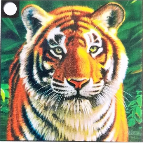 Μωσαϊκό με ψηφίδες τύπου διαμάντια σε μαξιλαροθήκη 40 x 40 cm Τίγρης  TT46662Z - E