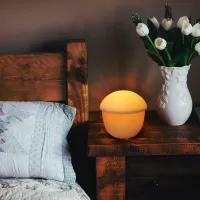 Φωτορυθμικό R01 7W Dual-use Projection Night Light with USB Charging white #2