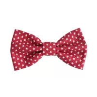 Χριστουγεννιάτικο Παιδικό Παπιγιόν Κόκκινο Με Αστεράκια 7 έως 14 Χρονών